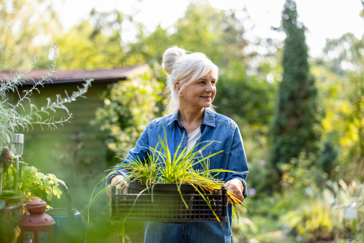 Senior woman working in her garden on a sunny day independent living in Menifee