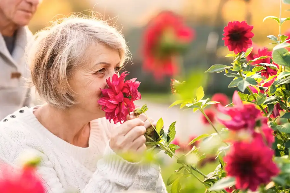 Beautiful view of the mountains near Meridian San Marcos